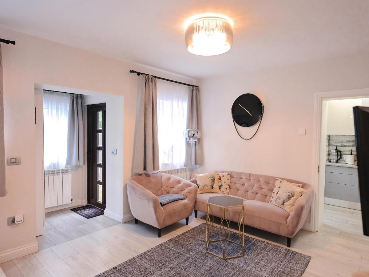 Вілла Ase Premium House Сучава Екстер'єр фото